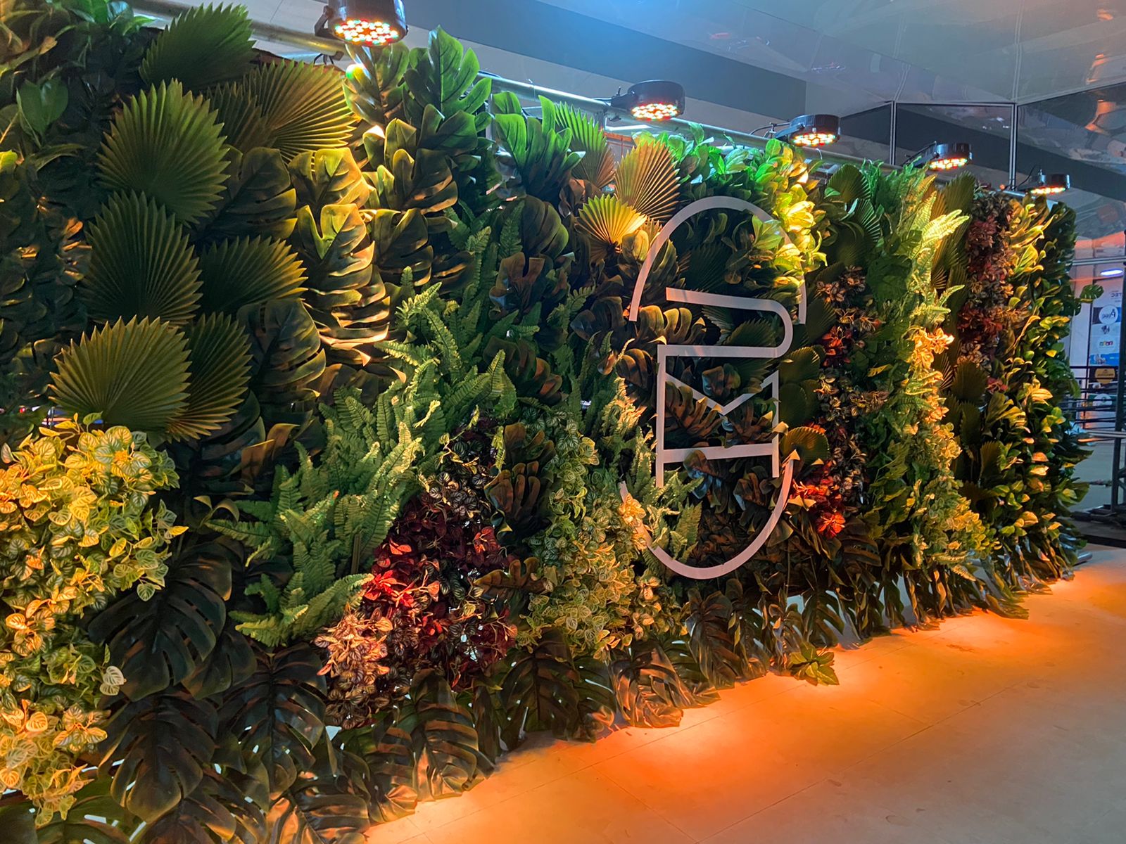 Piauí Moda House Conexões