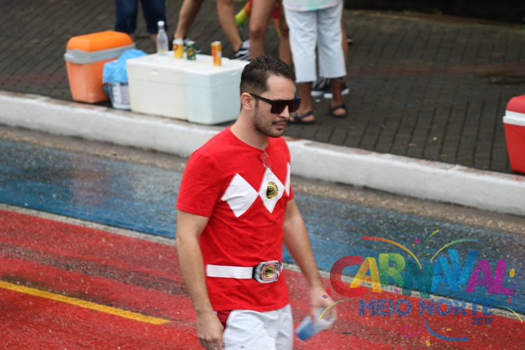 Confira as melhores fantasias dos foliões no Corso 2020