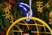 Soft opening: Apollo 11 (1)                                    