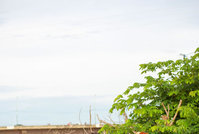 Desfile Mundoposto: por Igor Leite (3)                       