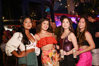 Baile da Paradisco (1)                                       