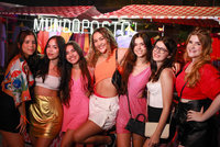 Baile da Paradisco (1)                                       