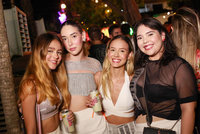 Baile da Paradisco (2)                                         