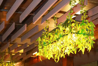 Sábado no Texas Picanharia                                      