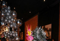 Club e Casa: Baile de Máscaras 2024 (2)                                 