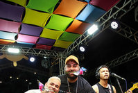 Samba do Bruce: Ressaca do Carnaval (2)                             