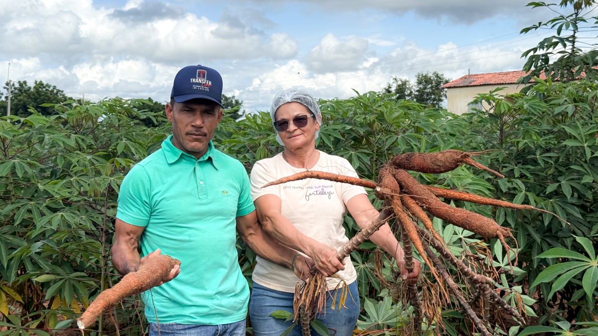 A Vida Mudou: comunidade quilombola no Piauí gera renda por meio do PAA