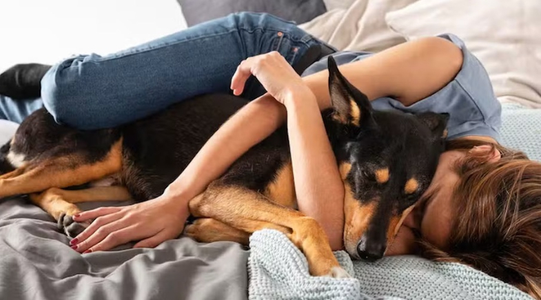 Hábito de dormir com o pet pode afetar sua saúde mais do que você imagina, alerta pesquisa