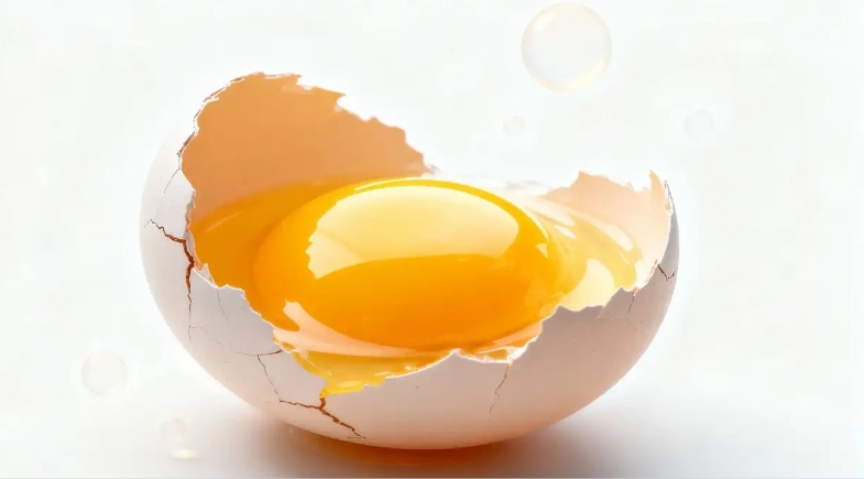 Dois ovos por dia são demais? Cientistas revelam quantos você realmente pode comer sem medo