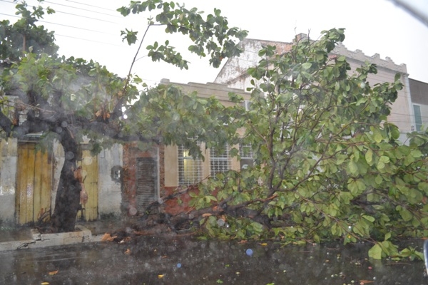 Chuva e ventos fortes causam muitos estragos em Campo Maior - Imagem 5