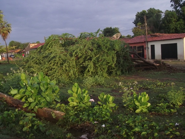 Chuva e ventos fortes causam muitos estragos em Campo Maior