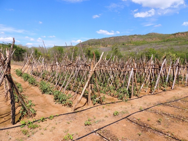 Prefeita Neuma Café participa de reunião com moradores de comunidade rural - Imagem 17