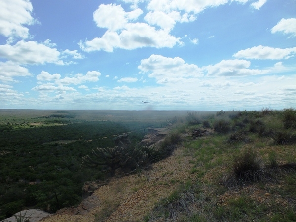 “INCRIVEL”  LAGOA COM ÁGUA SALGADA E DOCE EM SALINAS NO PIAUÍ - Imagem 21