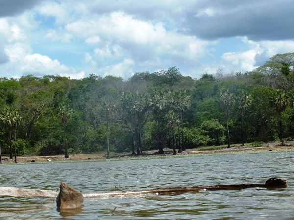 “INCRIVEL”  LAGOA COM ÁGUA SALGADA E DOCE EM SALINAS NO PIAUÍ - Imagem 11