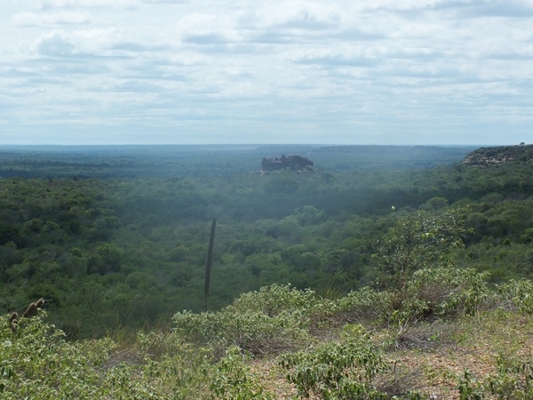 “INCRIVEL”  LAGOA COM ÁGUA SALGADA E DOCE EM SALINAS NO PIAUÍ - Imagem 20