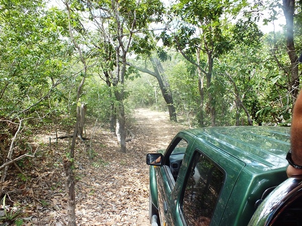 “INCRIVEL”  LAGOA COM ÁGUA SALGADA E DOCE EM SALINAS NO PIAUÍ - Imagem 17