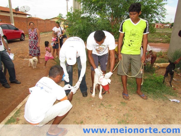 Prefeitura de Barras realiza campanha de combate ao calazar - Imagem 7