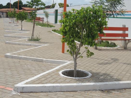 Mais árvores na cidade, mais vida em Água Branca - Imagem 3