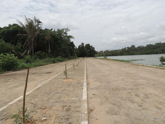 Mais árvores na cidade, mais vida em Água Branca - Imagem 6