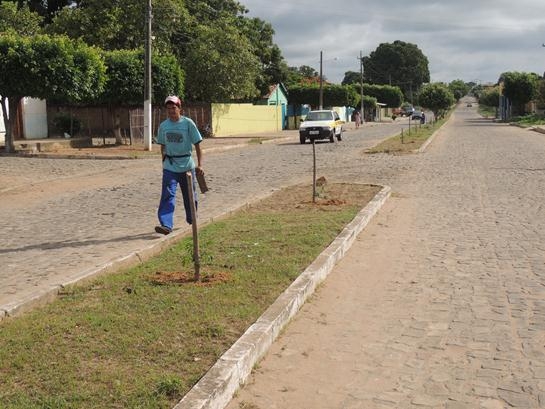 Mais árvores na cidade, mais vida em Água Branca - Imagem 5