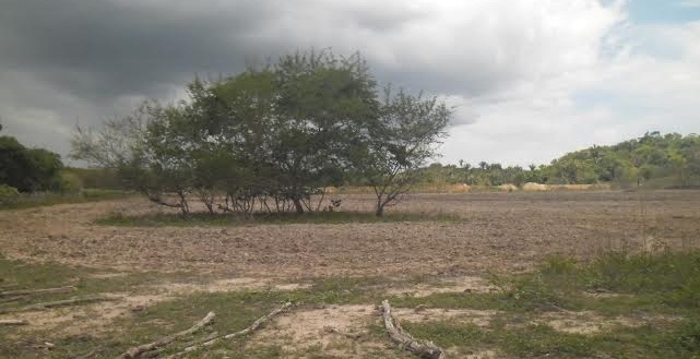 Prefeitura realiza serviço de arado para agricultores de Esperantina