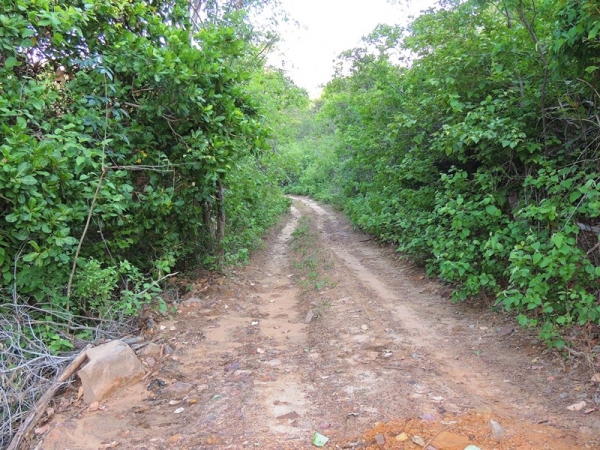 Estradas na região da Lapa, na divisa com o Ceará, estão sendo reformadas - Imagem 8