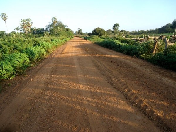 Prefeitura inicia recuperação de estrada vicinal no interior de Canavieira - Imagem 7
