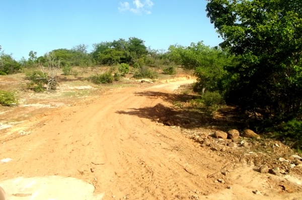 Prefeitura inicia recuperação de estrada vicinal no interior de Canavieira - Imagem 6