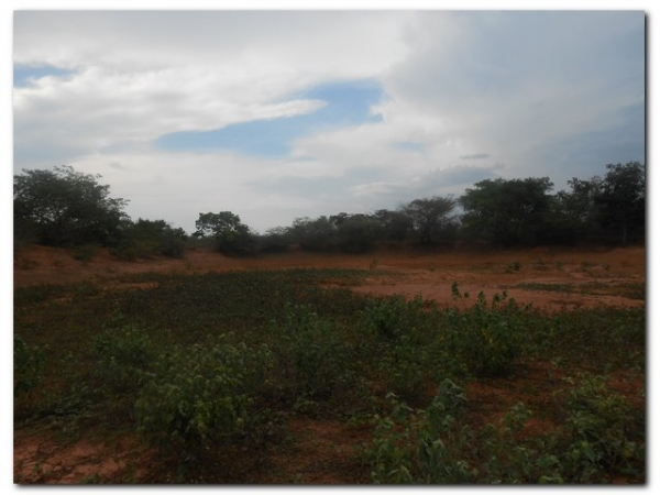 Prefeitura de Inhuma constrói açude no Campestre - Imagem 5