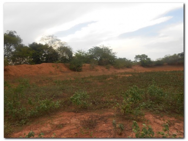 Prefeitura de Inhuma constrói açude no Campestre - Imagem 4