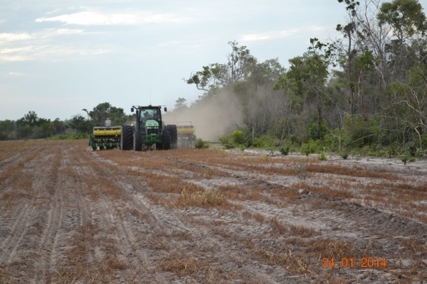 Fazenda Agropecuária Barras está plantando vários hectares de terra com soja - Imagem 5