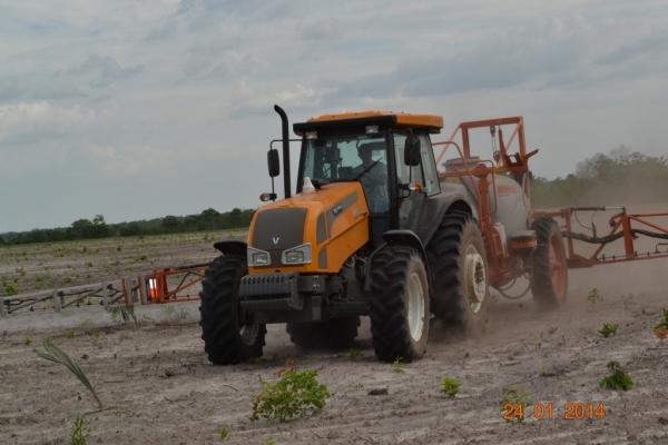 Fazenda Agropecuária Barras está plantando vários hectares de terra com soja - Imagem 12