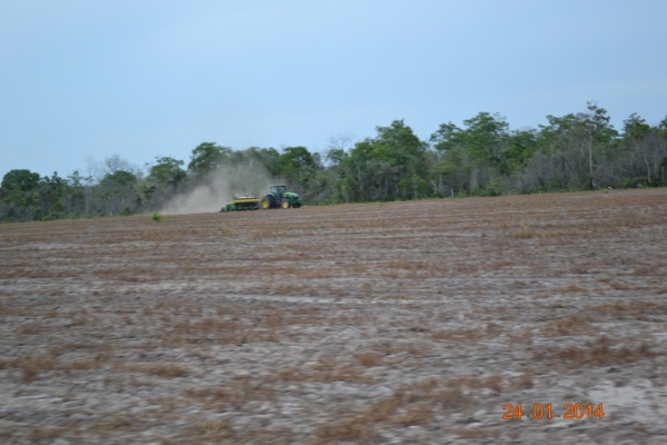 Fazenda Agropecuária Barras está plantando vários hectares de terra com soja - Imagem 6