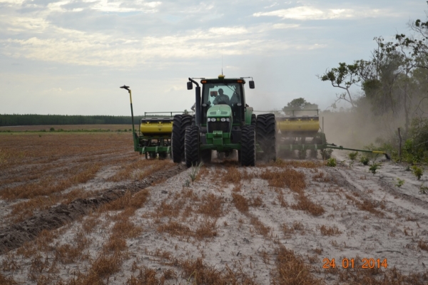 Fazenda Agropecuária Barras está plantando vários hectares de terra com soja - Imagem 4