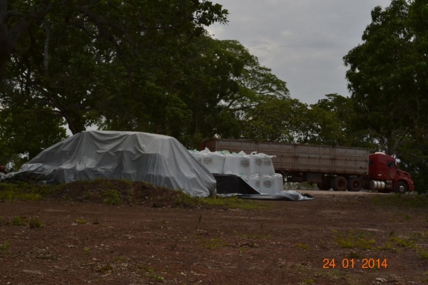 Fazenda Agropecuária Barras está plantando vários hectares de terra com soja - Imagem 9