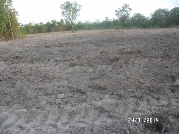 Projeto de Horta mostra o sucesso da Agricultura Familiar em Boa Hora - Imagem 32