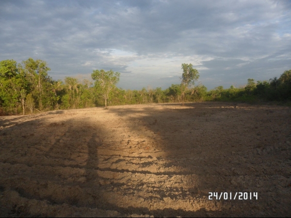 Projeto de Horta mostra o sucesso da Agricultura Familiar em Boa Hora - Imagem 28