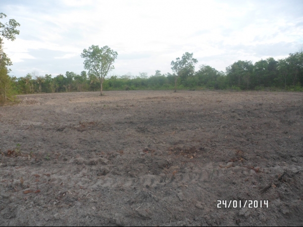 Projeto de Horta mostra o sucesso da Agricultura Familiar em Boa Hora - Imagem 33