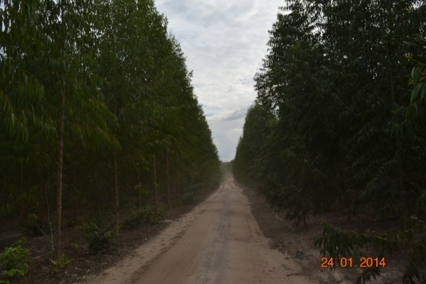 Parabéns Boa Hora, pelos seu 20 anos de emancipação política - Imagem 20