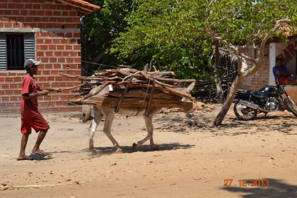 Parabéns Boa Hora, pelos seu 20 anos de emancipação política - Imagem 10