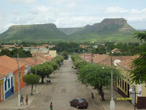 Papagaio é referência em Amarante - Imagem 4