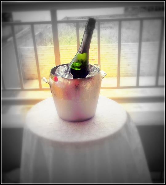 Franguitos de Cara Nova! - Imagem 4