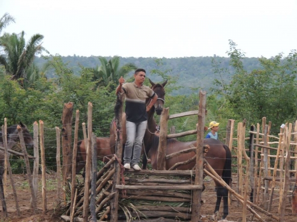 Festa do Vaqueiro na comunidade Baixa Redonda - Imagem 8