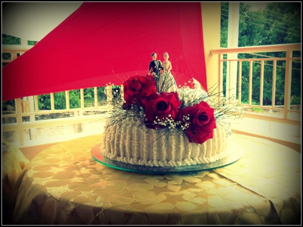 Franguitos de Cara Nova! - Imagem 16