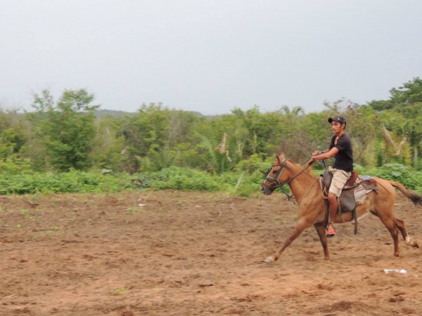 Festa do Vaqueiro na comunidade Baixa Redonda - Imagem 4