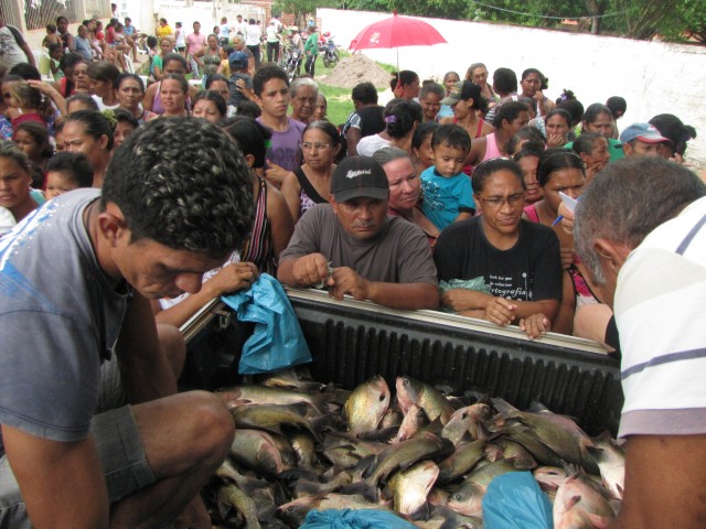 Mais de 16 mil kg de peixes  já foram distribuídos  no município de Miguel Alves