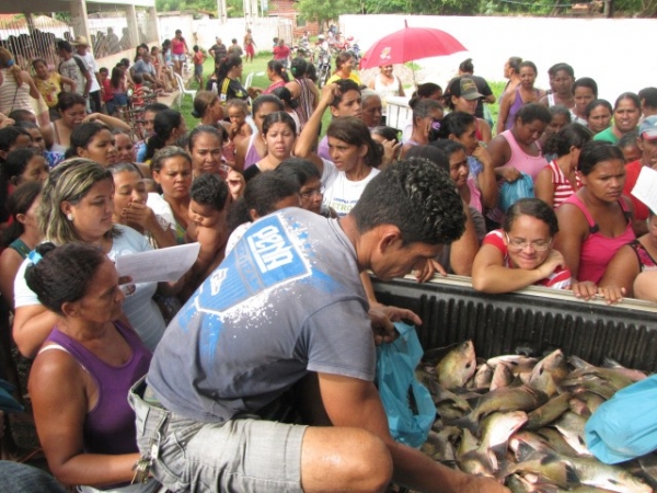 Mais de 16 mil kg de peixes  já foram distribuídos  no município de Miguel Alves - Imagem 1