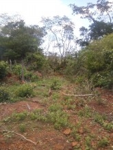 Acidente deixa vítima gravemente ferida na PI 236 - Imagem 4