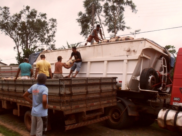 Secretaria de Agricultura distribuirá 2 toneladas de sementes  - Imagem 5