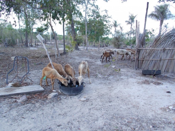 Abastecimento com carro pipa na zona rural de Capitão de Campos - Imagem 10